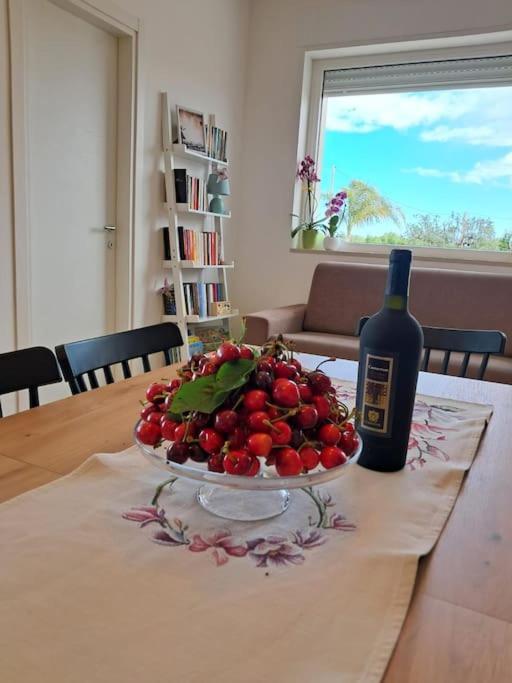 Malia Holiday Villa Conversano Dış mekan fotoğraf